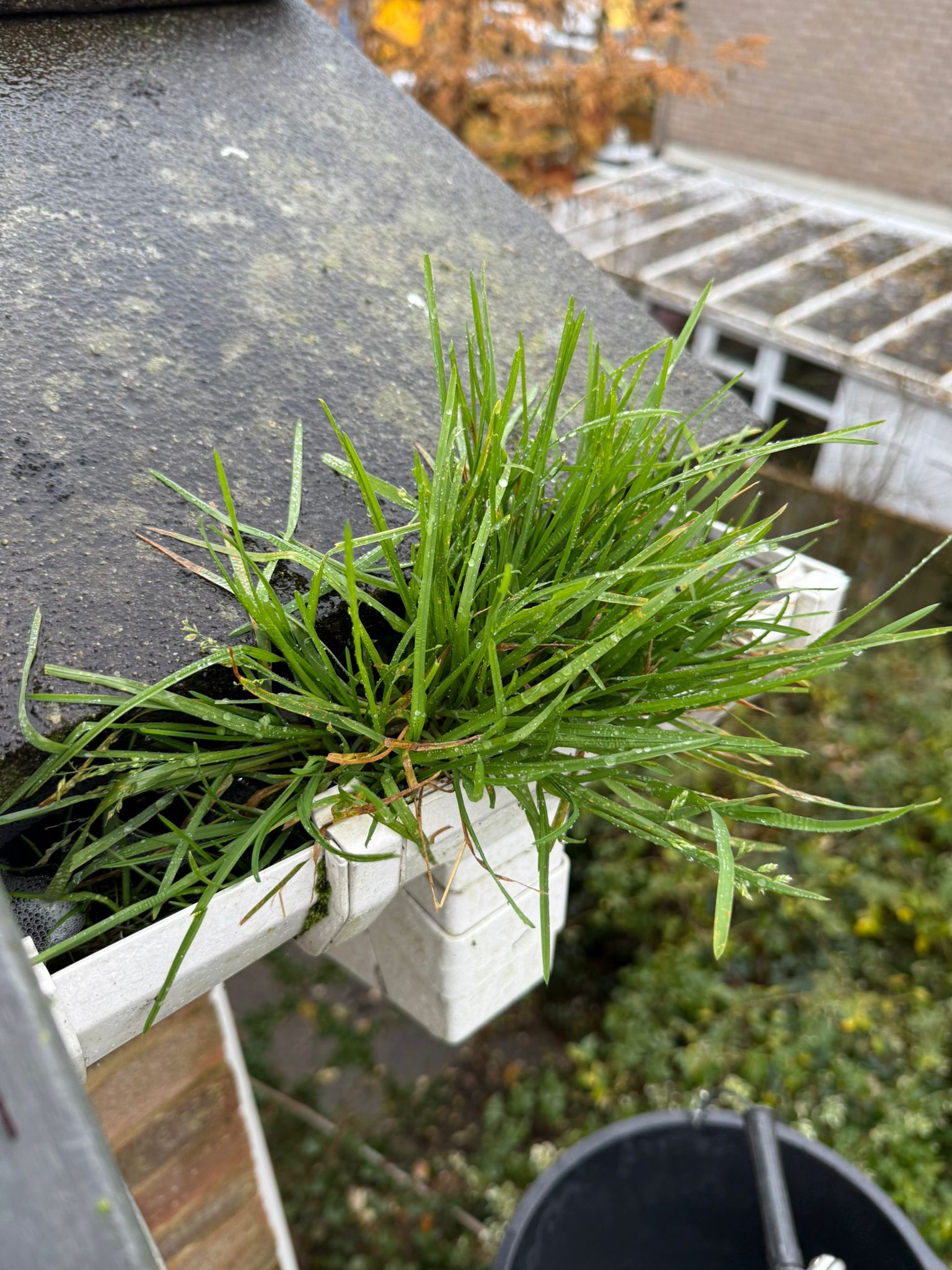 Blocked gutter downpipe in Abingdon-On-Thames